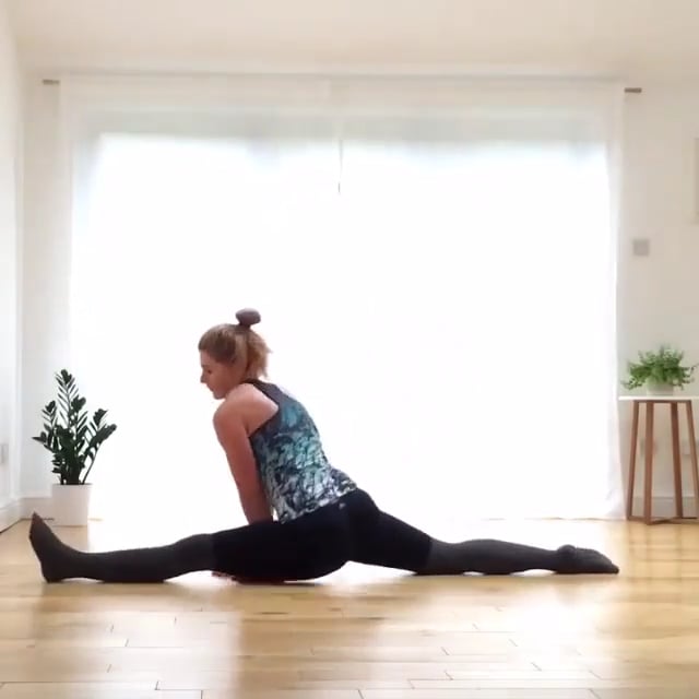 Wide-Angle Seated Forward Bend, Monkey