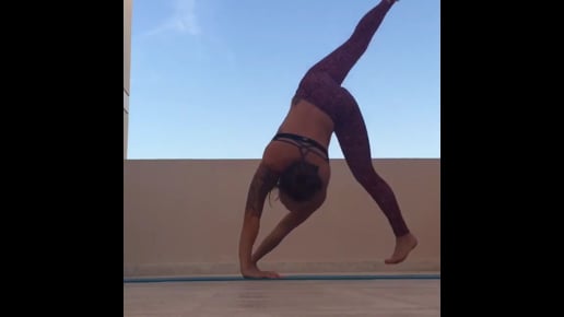 Firefly, Forearm Stand Split, Handstand or Downward Facing Tree