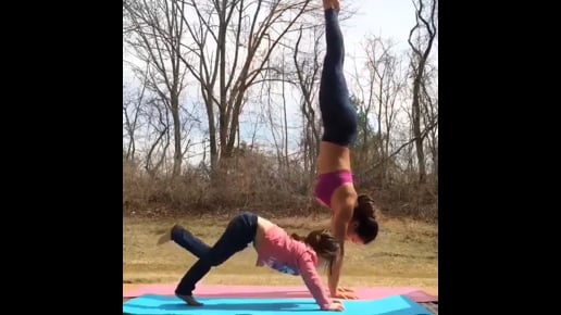 Mountain, Palm Tree, Big Toe, Handstand, Four Limbed Staff, Bow Variation, Downward Facing Dog