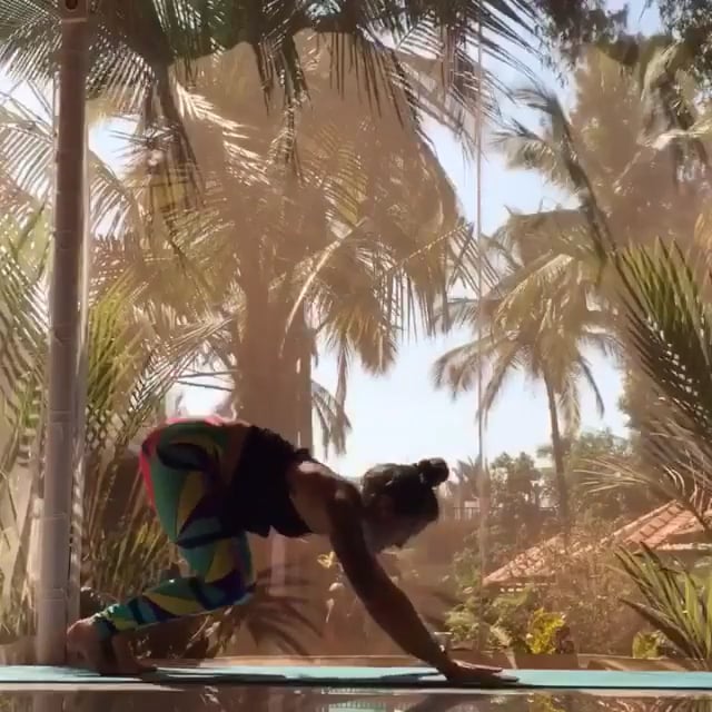 Downward Facing Dog, Eight-Angle, Pose Dedicated to the Sage Koundinya II