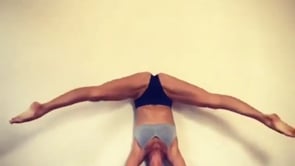 Wide-Legged Forward Bend, Handstand Split Variation