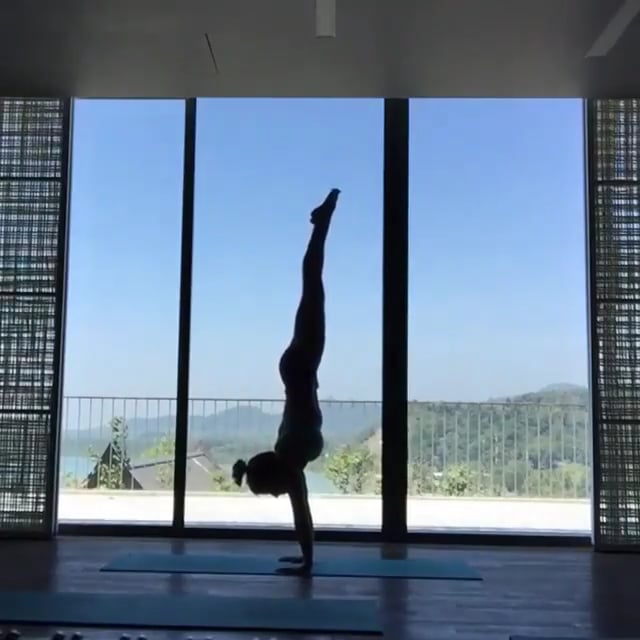 Crow, Downward Facing Tree