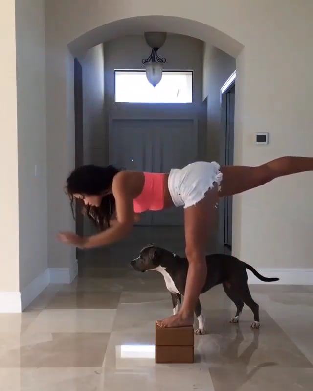 Warrior III Pose, Standing Split