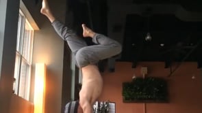 Downward Facing Tree Variation, Handstand Split Variation