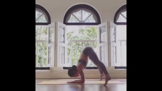 Forearm Stand