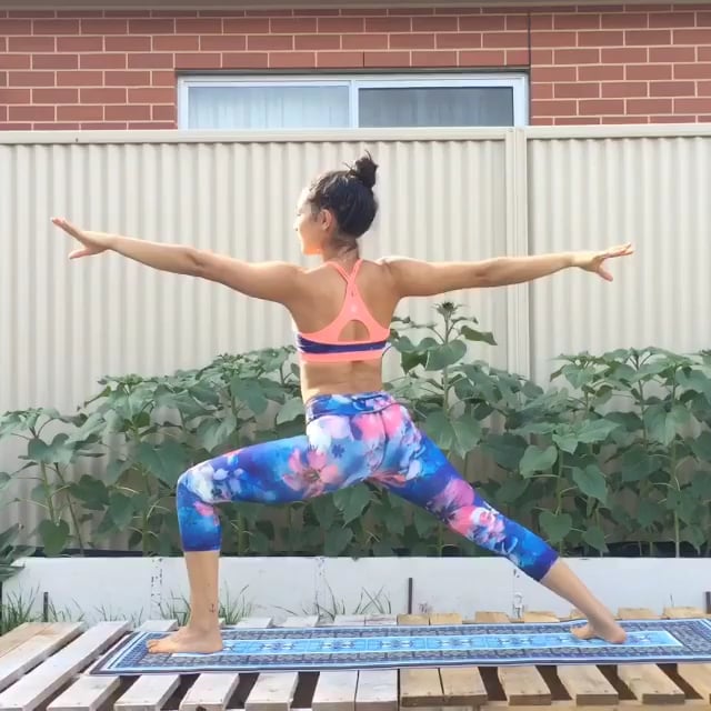 Upward Salute, Standing Forward Bend, Upward-Facing Dog, Downward Facing Dog, One Legged Dog, Warrior I, Warrior II 