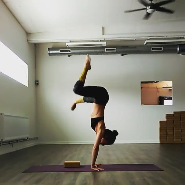 Downward Facing Tree
