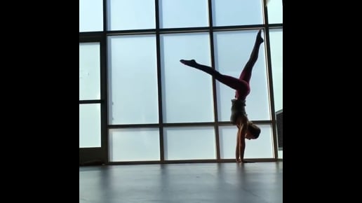 Downward Facing Tree Variation, Four Limbed Staff, Upward Facing Dog, Downward Facing Dog