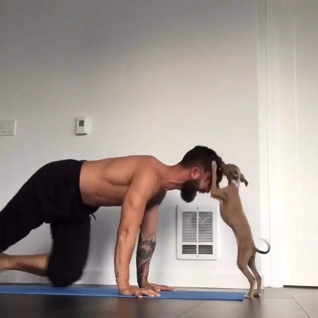 Downward Facing Tree