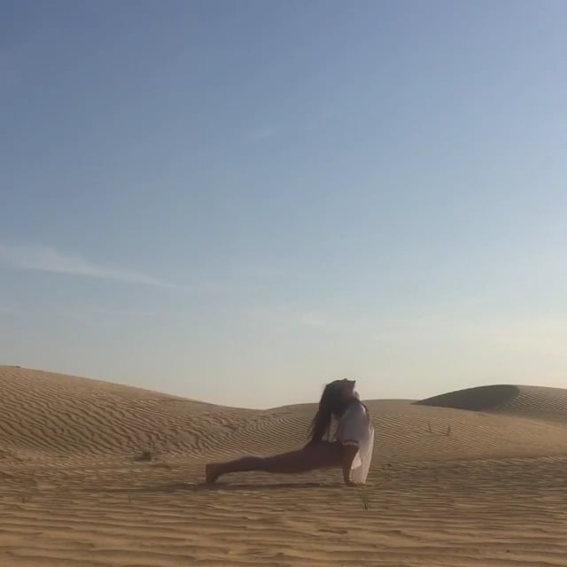 Upward Salute, Standing Forward Bend, Half Handstand, Four-Limbed Staff, Upward-Facing Dog, Downward Facing Dog