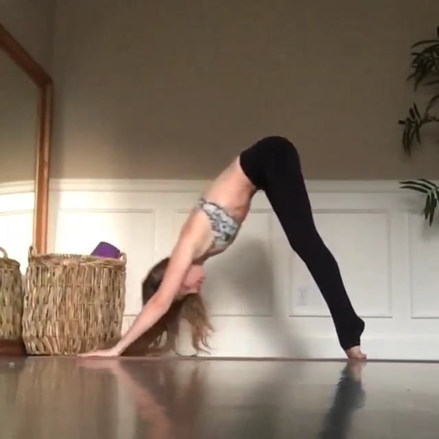 Standing Forward Bend Variation, Four Limbed Staff, Upward Facing Dog, Downward Facing Dog