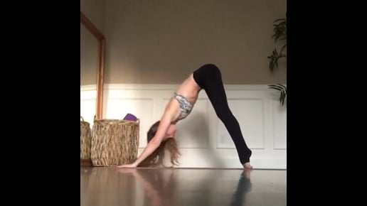 Standing Forward Bend Variation, Four Limbed Staff, Upward Facing Dog, Downward Facing Dog