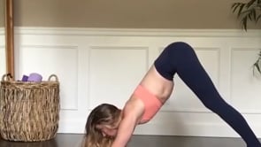 Dolphin, Four Limbed Staff, Upward Facing Dog, Downward Facing Dog