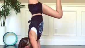 Dolphin, Headstand Variation, Scorpion