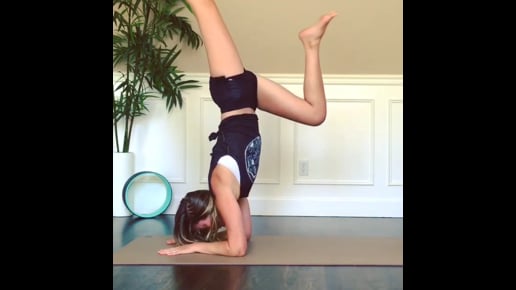 Dolphin, Headstand Variation, Scorpion