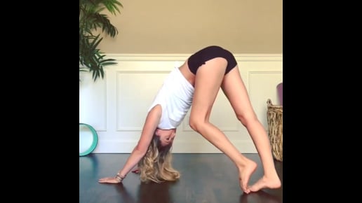 Headstand, Crane, Four Limbed Staff, Upward Facing Dog, Downward Facing Dog