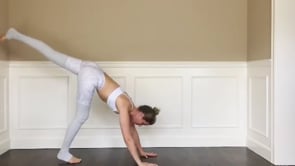 One Legged Dog, Half Headstand Variation, Revolved Split Legged Headstand Variation