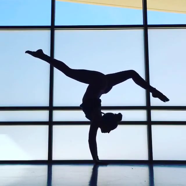 Standing Forward Bend, Downward Facing Tree Variation, Handstand Split Variation, Wheel Variations, Upward Facing Two Foot Staff, Forearm Stand Split Variation, Garland Variation