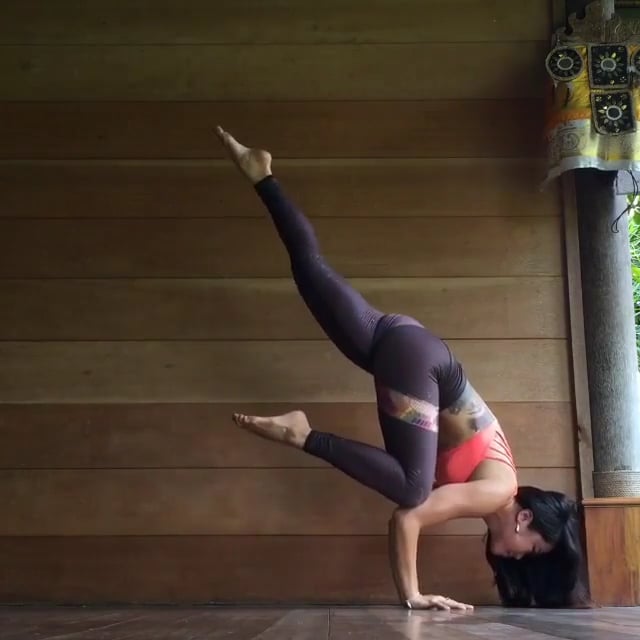 One Legged Dog, One Legged Crane Variation 