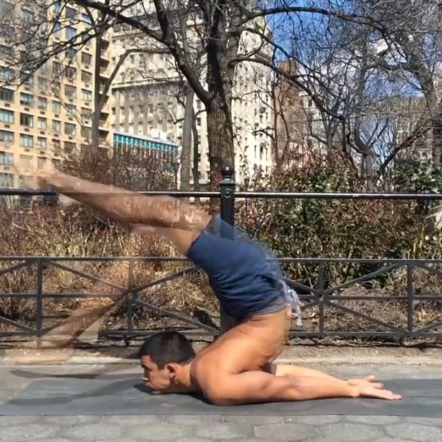 Scorpion Variation, Four Limbed Staff, Upward Facing Dog, Downward Facing Dog