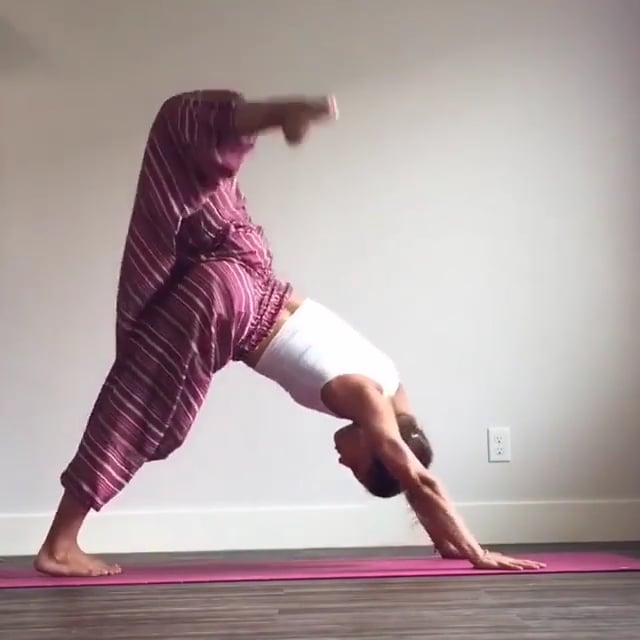 Upward Facing Dog Variation, Downward Facing Dog, One Legged Dog, Wild Thing Variation, Wheel Variation, One Legged Wheel, Half Moon Variation, Handstand  Lotus Legs, Downward Facing Tree Variation, Seated Forward Bend
