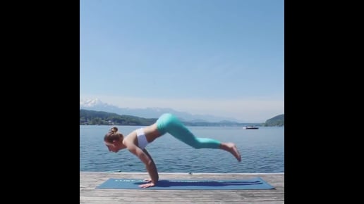 Upward Salute Variation, Standing Forward Bend, Four Limbed Staff, Upward Facing Dog, Downward Facing Dog, Big Toe 