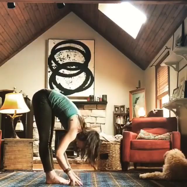 Standing Forward Bend, Downward Facing Tree Variation,Chair Variation