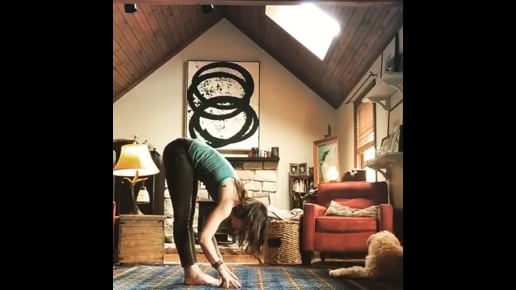 Standing Forward Bend, Downward Facing Tree Variation,Chair Variation