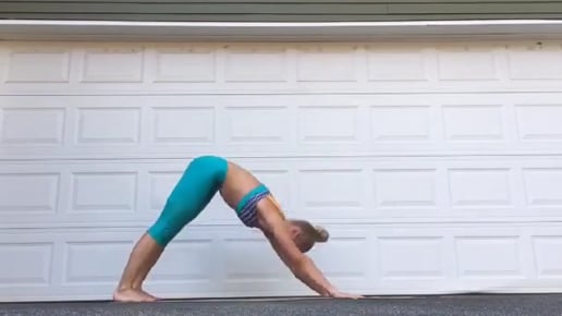 Downward Facing Dog, Half Handstand Variation, Firefly, Boat Variation, Plow Variation, Four Limbed Staff, Upward Facing Dog, Full Pigeon, Downward Facing Dog, Extended Triangle, Peacock, Extended Triangle, Upward Facing Dog, Full Pigeon, Downward Facing 