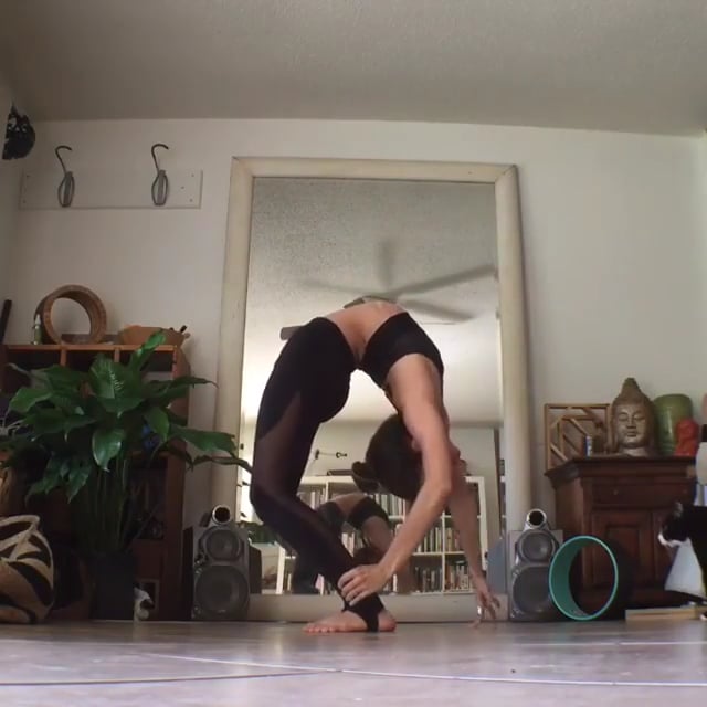 Half Wheel, Wheel Variation