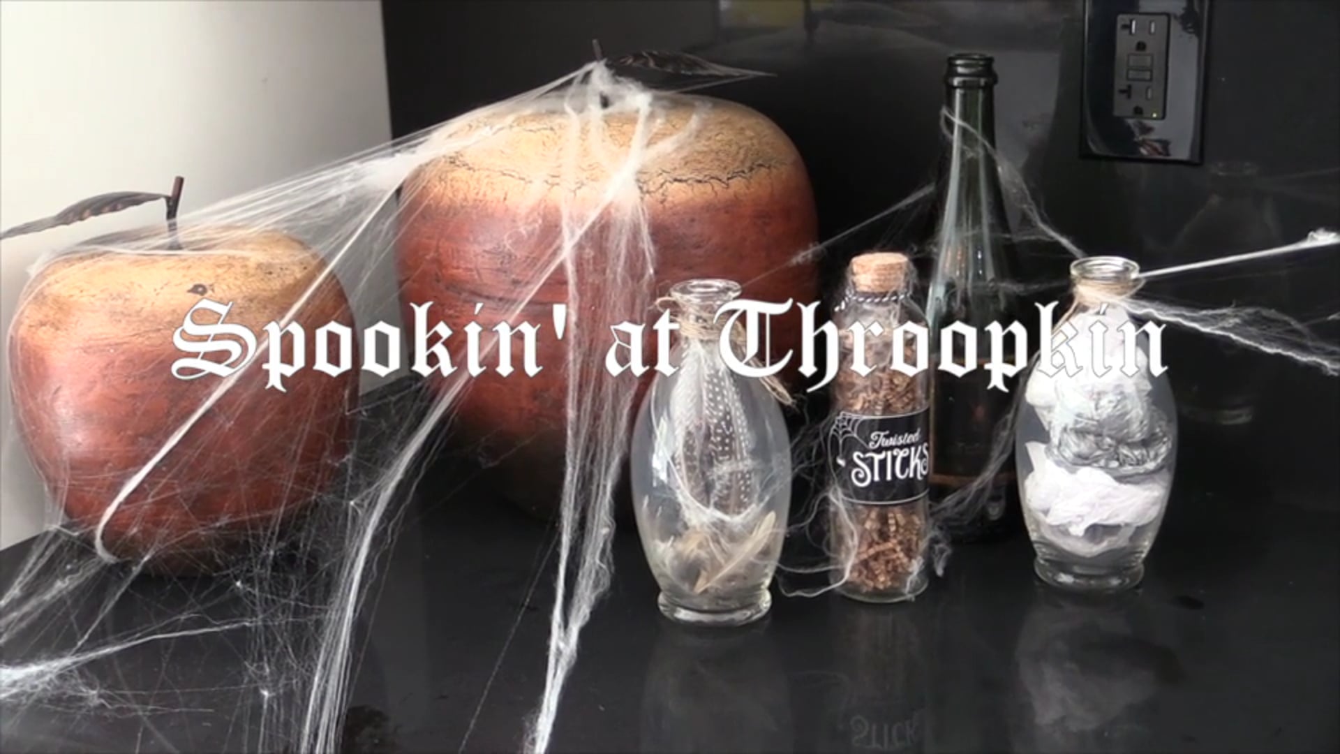 Promotional video thumbnail 3 for Documentation Photography Services