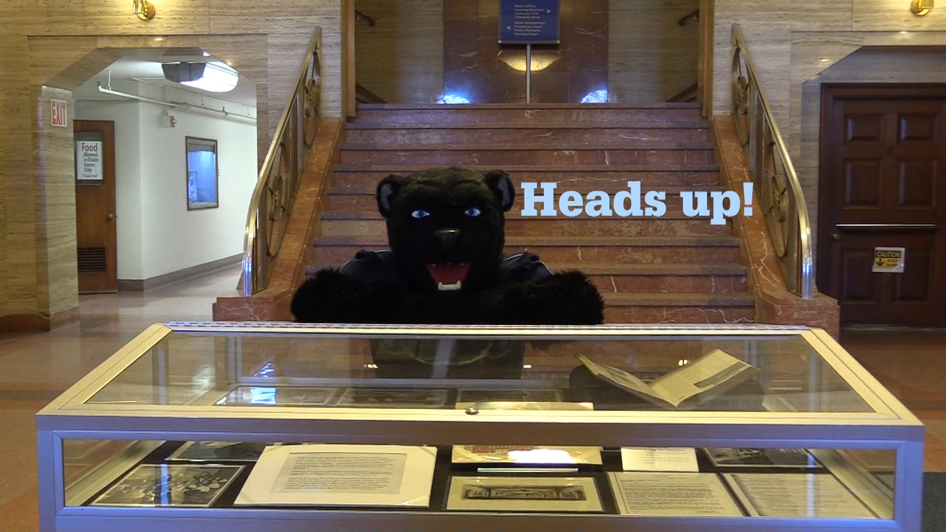 Bananas T. Bear Has An Important Message About Maine Day Of Giving On Vimeo