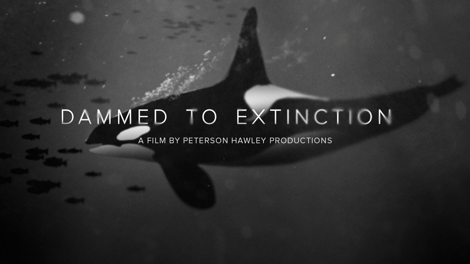 Dammed to Extinction Trailer