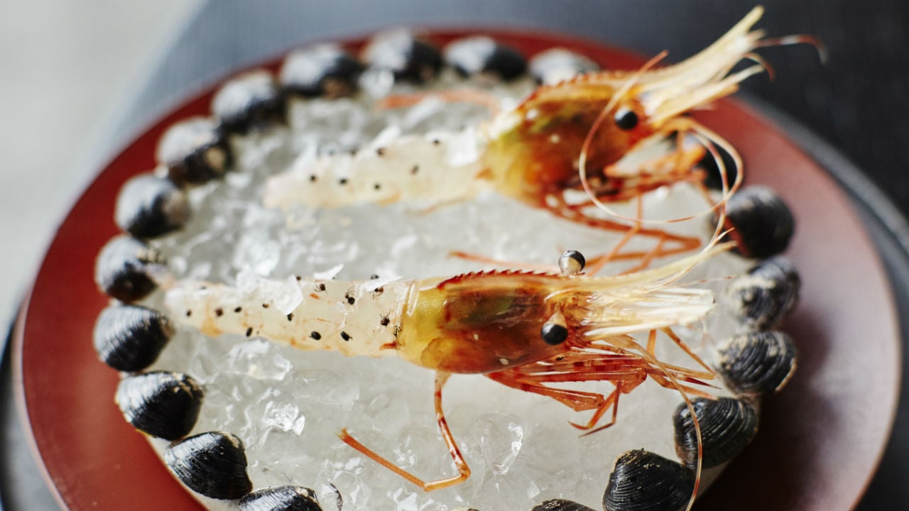 Ants on a Shrimp: Noma in Tokyo