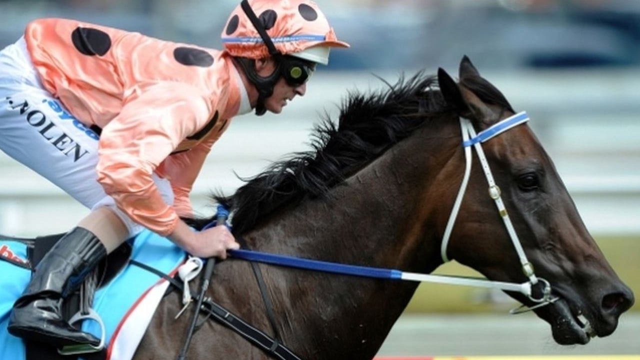 Black Caviar - The Horse of a Lifetime