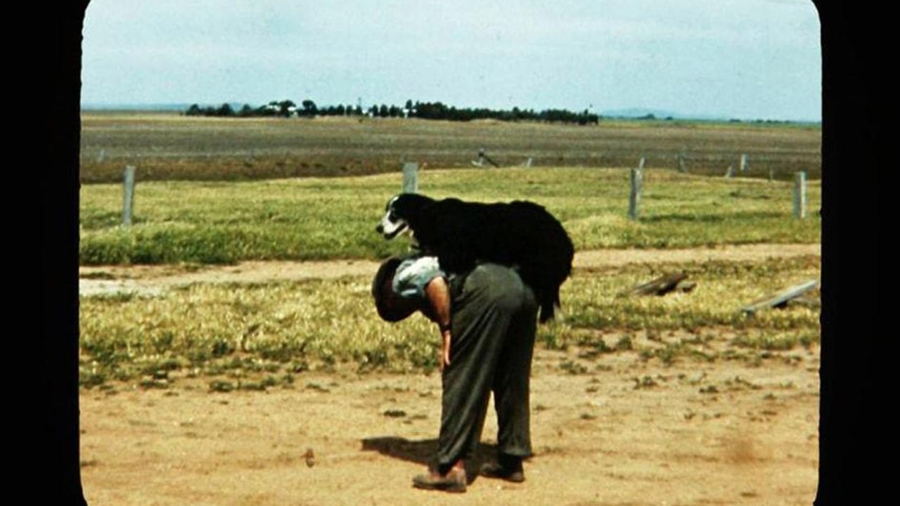 The Farmer's Cinematheque