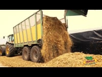 La diferencia Dekalb