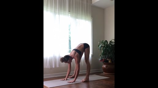 Big Toe, Standing Forward Bend Variation, Half Handstand Variation, One Legged Stretched Out Scorpion, Downward Facing Tree Variation