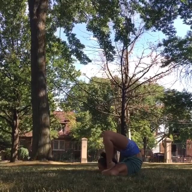Half Wheel Variation, Wheel Variation, Downward Facing Dog, Upward Facing Dog