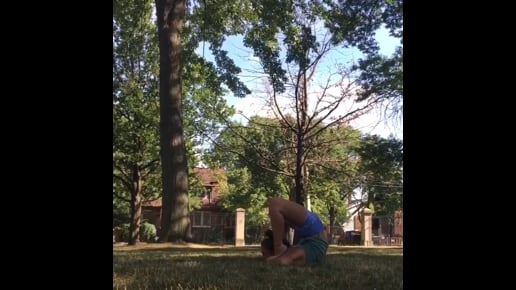 Half Wheel Variation, Wheel Variation, Downward Facing Dog, Upward Facing Dog