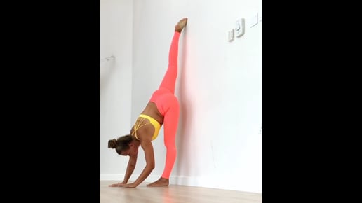 Standing Split Variation, Lord of Dancers Variation, Standing Forward Bend