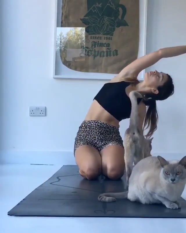 Hero Variation, Downward Facing Dog, Cow Face Variation, One Legged Dog, Half Pigeon Variation, Lotus Variation, Scale, Bound Angle, Crane, Standing Forward Bend, Downward Facing Dog, Upward Facing Dog, Child's Pose, Threading the Needle Variation