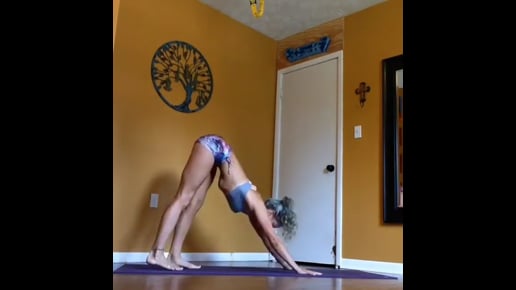 Lotus Handstand Variation, Four Limbed Staff, Upward Facing Dog, Downward Facing Dog, Downward Facing Tree Variation, Pose Dedicated to the Sage Marichi I, Seated Half Bound Lotus Forward Bend, Standing Forward Bend