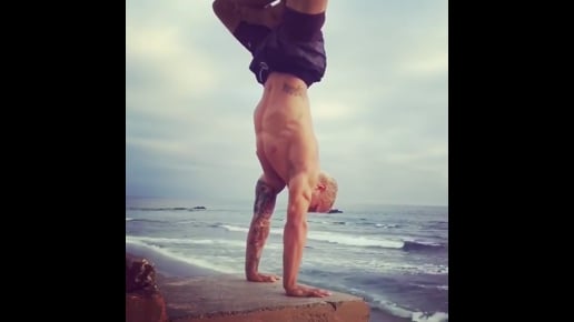 Lotus, Lotus Handstand Variation