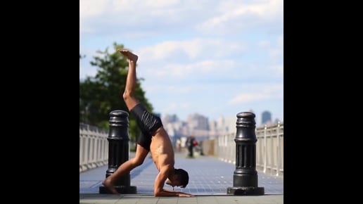 Feathered Peacock Hollow Back Variation, Wheel Variation