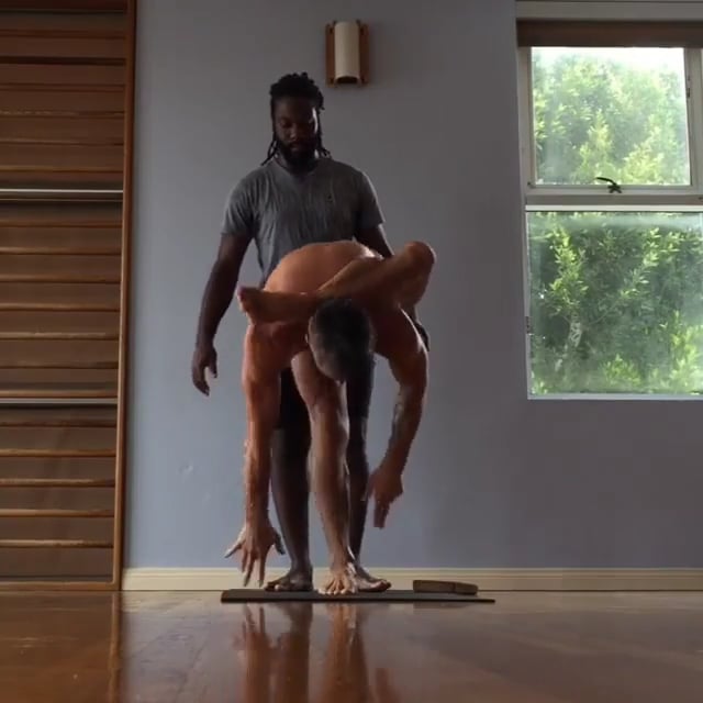 Bird of Paradise Variations, Upward Facing Dog