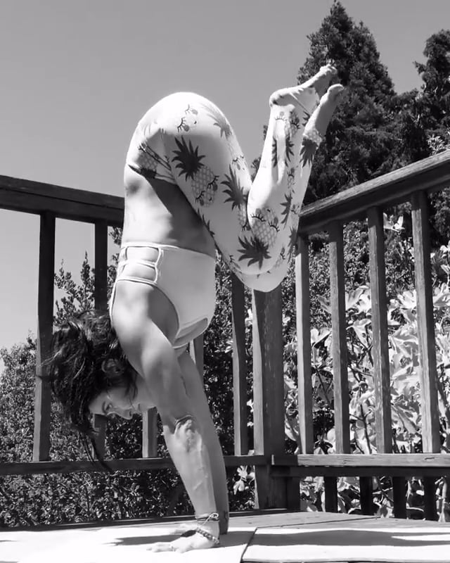Crane, Scorpion Variation, Lord of Dancers Variation