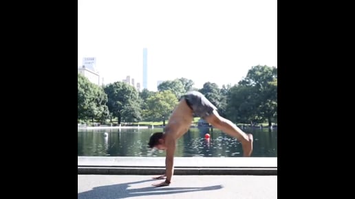 Downward Facing Tree Variation, Peacock Variation