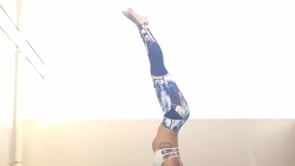 Upward Salute, Big Toe, Four Limbed Staff, Upward Facing Dog, Downward Facing Dog, Dolphin, Feathered Peacock