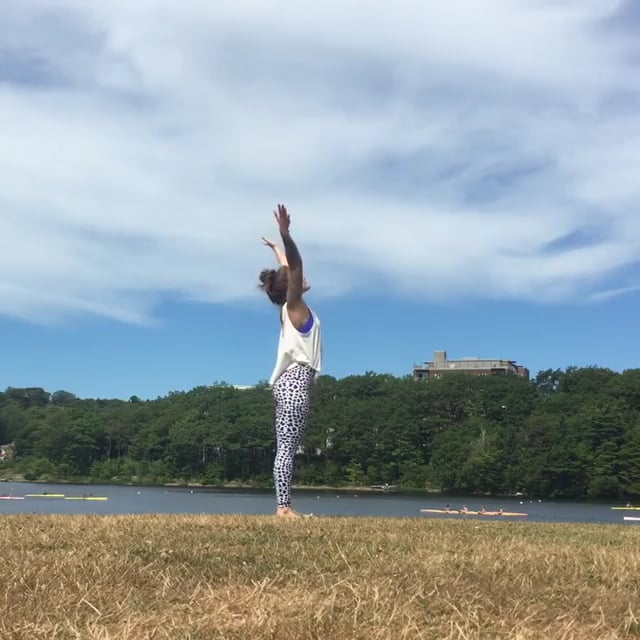 Upward Salute, Big Toe, Half Handstand, Upward Facing Dog, Downward Facing Dog, Warrior I, Revolved Hand To Big Toe, Standing Split, Child's Pose